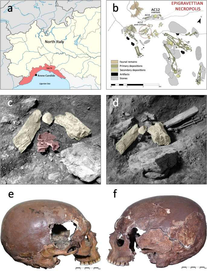 Un crâne étrangement déformé a été retrouvé dans une grotte, et c’est ...
