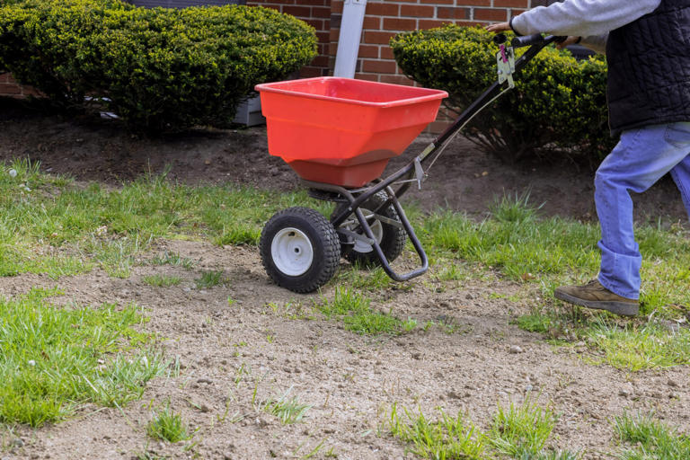 Can Wheelbarrow Damage Lawn: Essential Tips to Prevent Harm