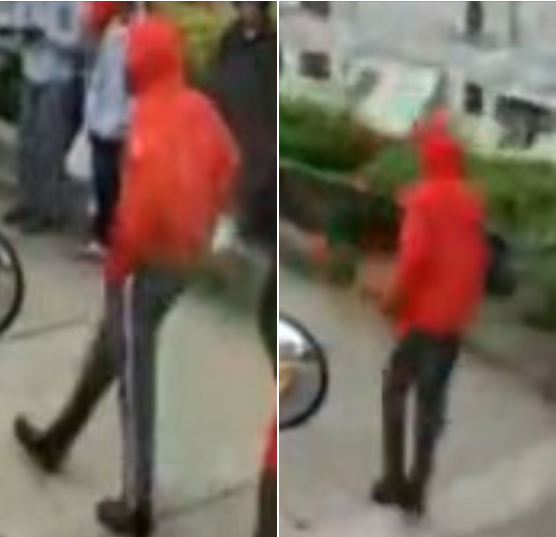 Suspect still at large after woman shot to death walking child to