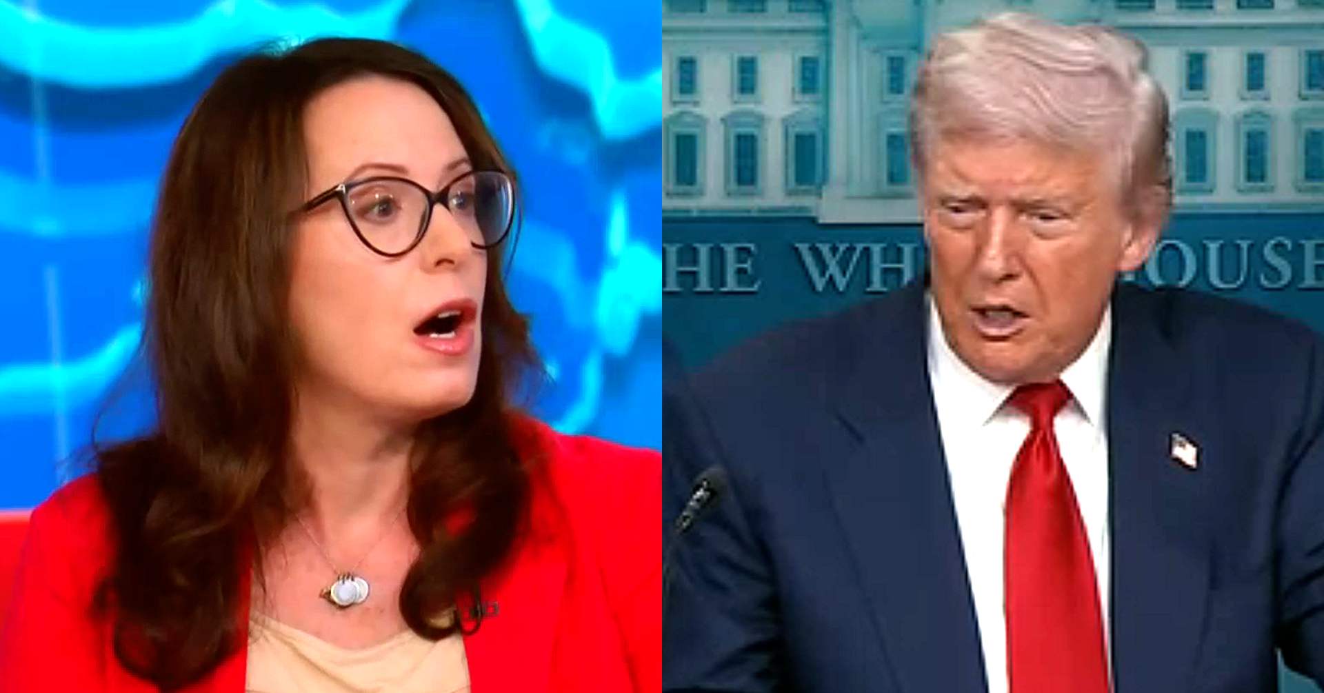 Maggie Haberman Connects Trump Assault On History to White Supremacist ...