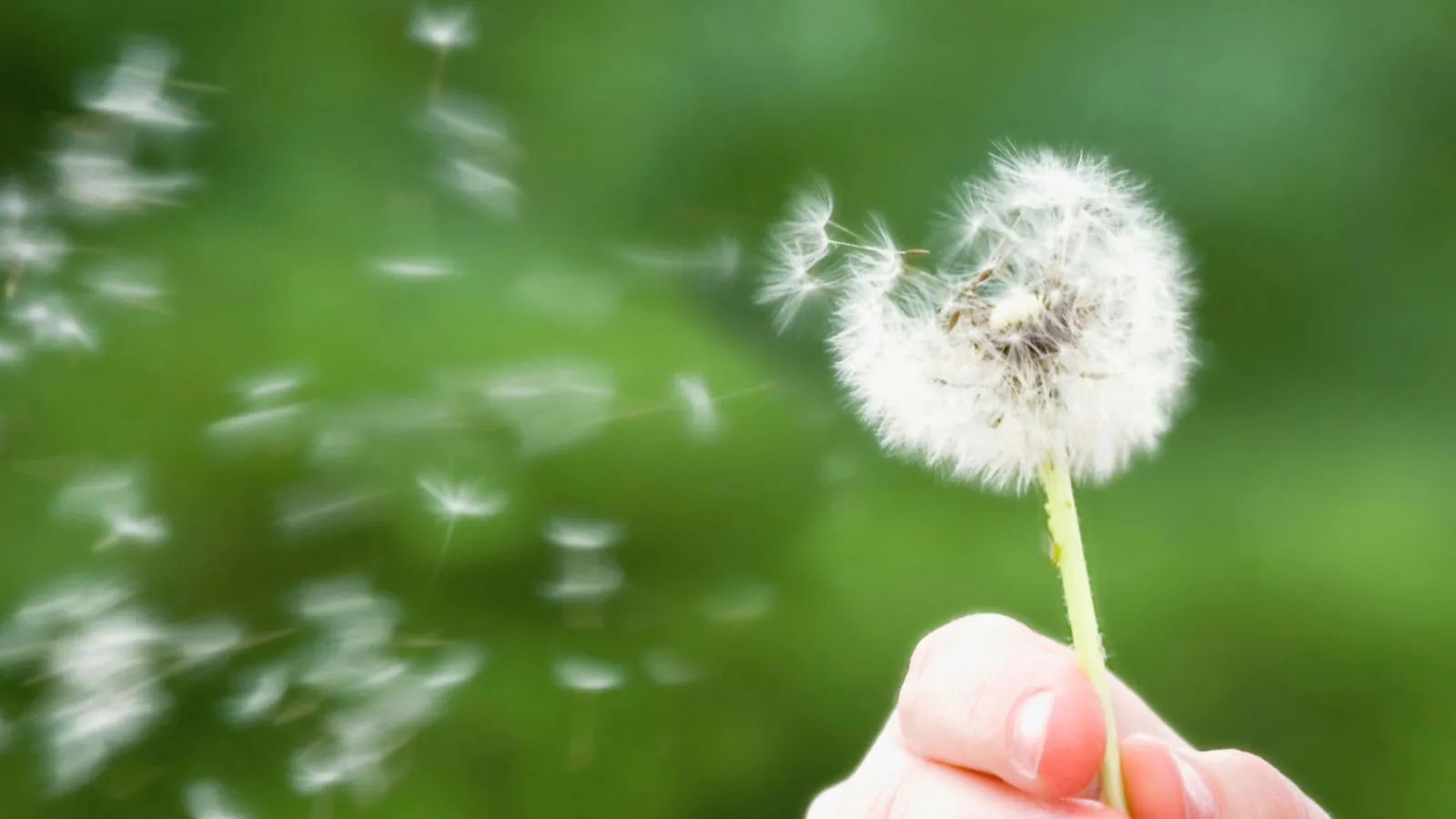 How to Clean Pollen off Patio Furniture: Easy & Effective Tips