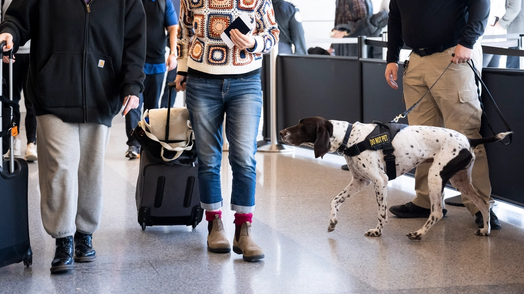 How to Stay Safe in Unfamiliar Destinations: Essential Travel Tips