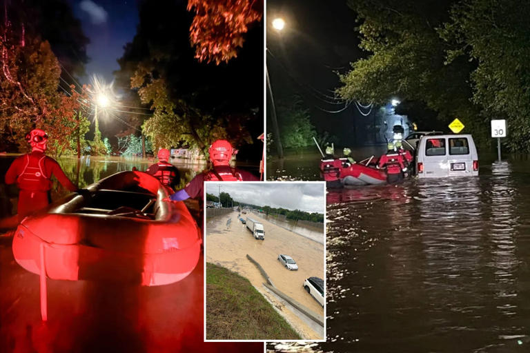 Family of 3, including child, killed when tree falls on car in