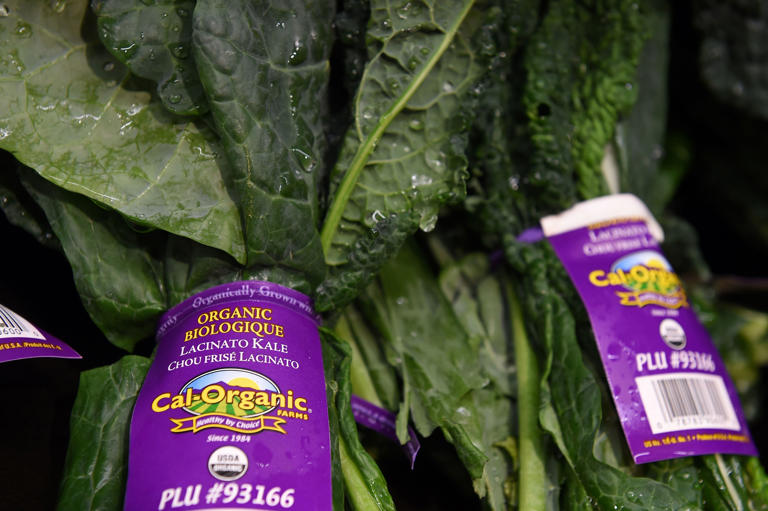 Trust your gut: The foods you need to boost those friendly bacteria ...