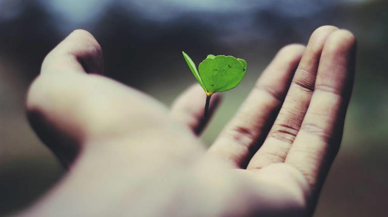 Visual Reference: Developing A Growth Mindset For Career Advancement
