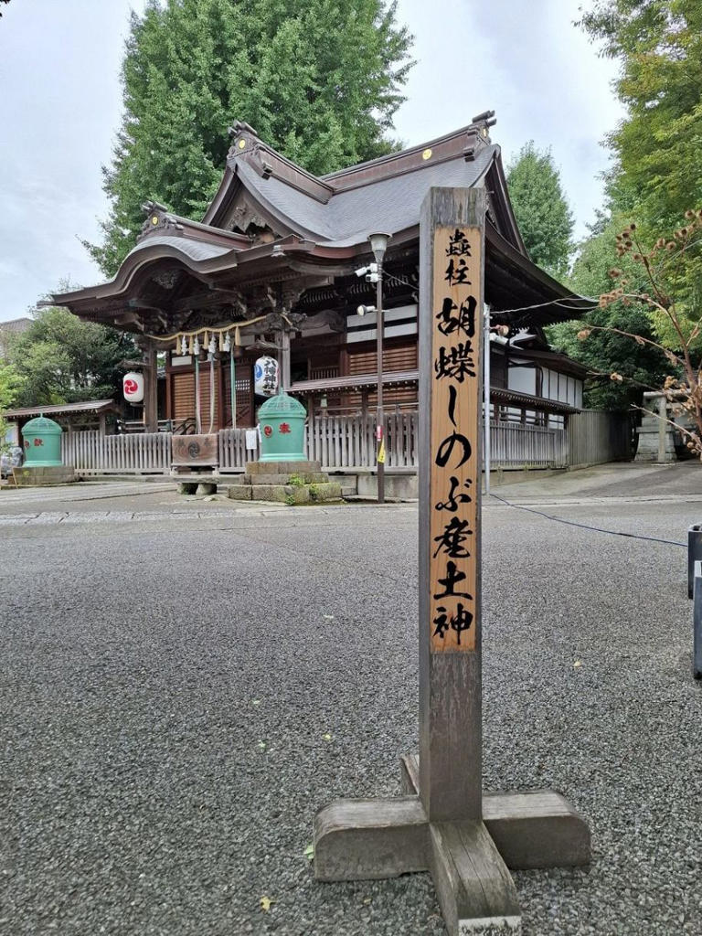 胡蝶しのぶの身長と同じ151センチの高さの柱＝東京都北区の瀧野川八幡神社で
