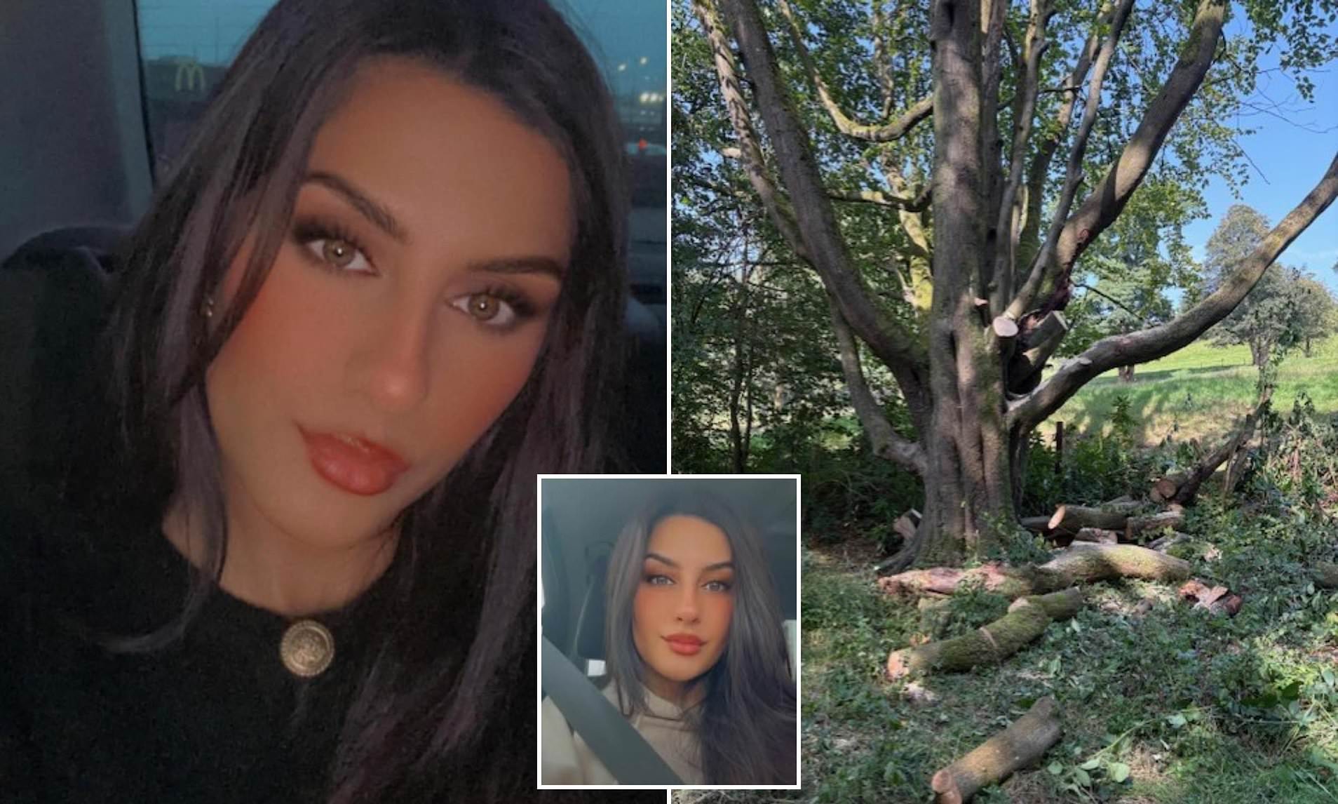 Revealed Hero mum saved her daughter just seconds before she was(01)