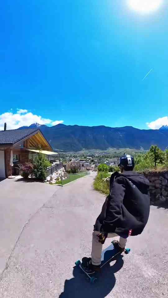 Meet the Dog Who Rides Better Than Most Humans