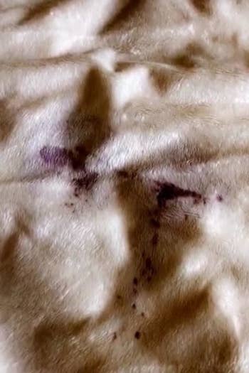 wine stained blanket