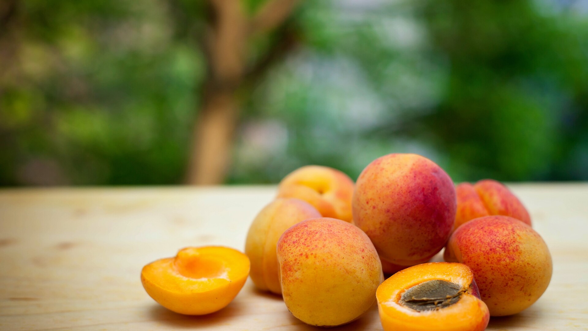 So erkennst du Aprikosen und Mirabellen