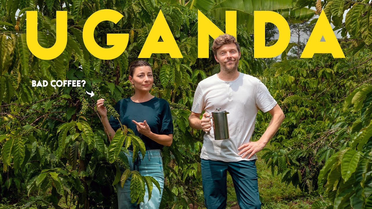 This Ugandan Coffee Farm Blew Our Minds (Not What We Expected)