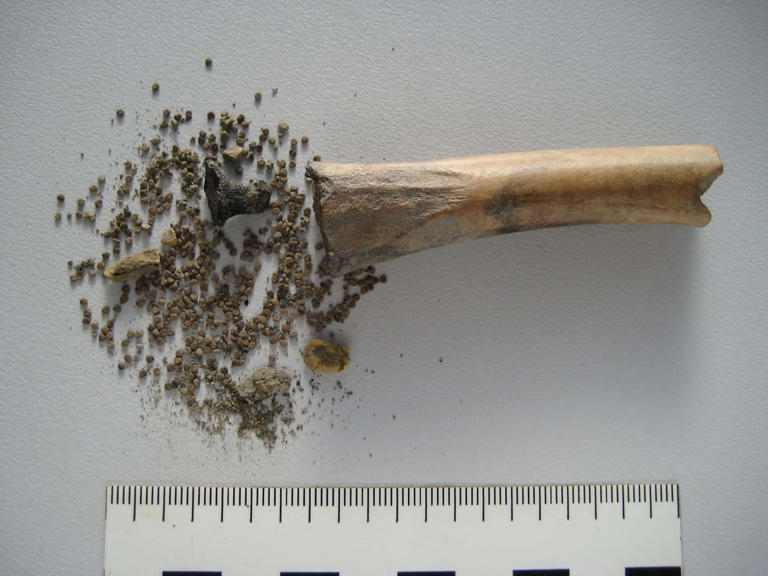 Archaeologists Find 2,000-Year-Old Roman ‘Drug Stash’ Hidden Inside a Bone