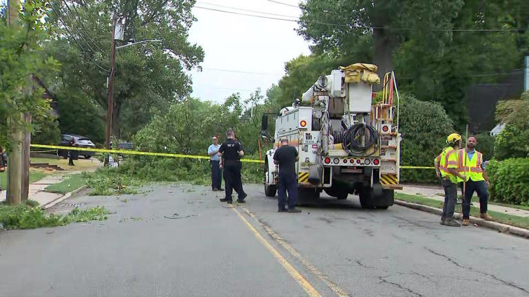 Tree limb falls and injures 3 people in Teaneck, New Jersey