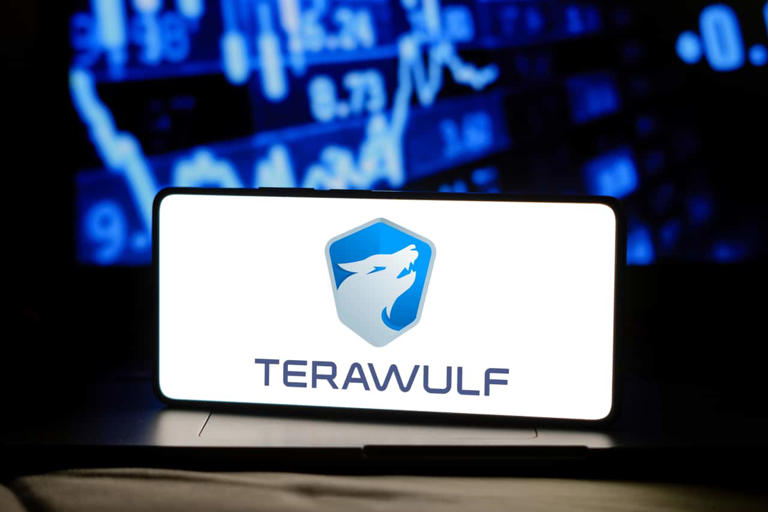 TeraWulf’s money-losing pivot: High costs, but the stock market buys ...