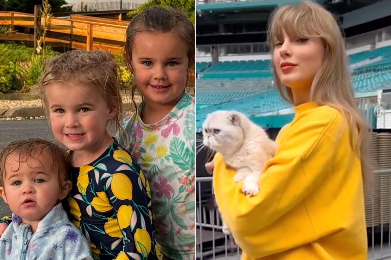 Taylor Swift Says It Was a 'Great Challenge' Introducing Jason Kelce's Kids  to Her Cats After He Told Them Cats Were Poisonous