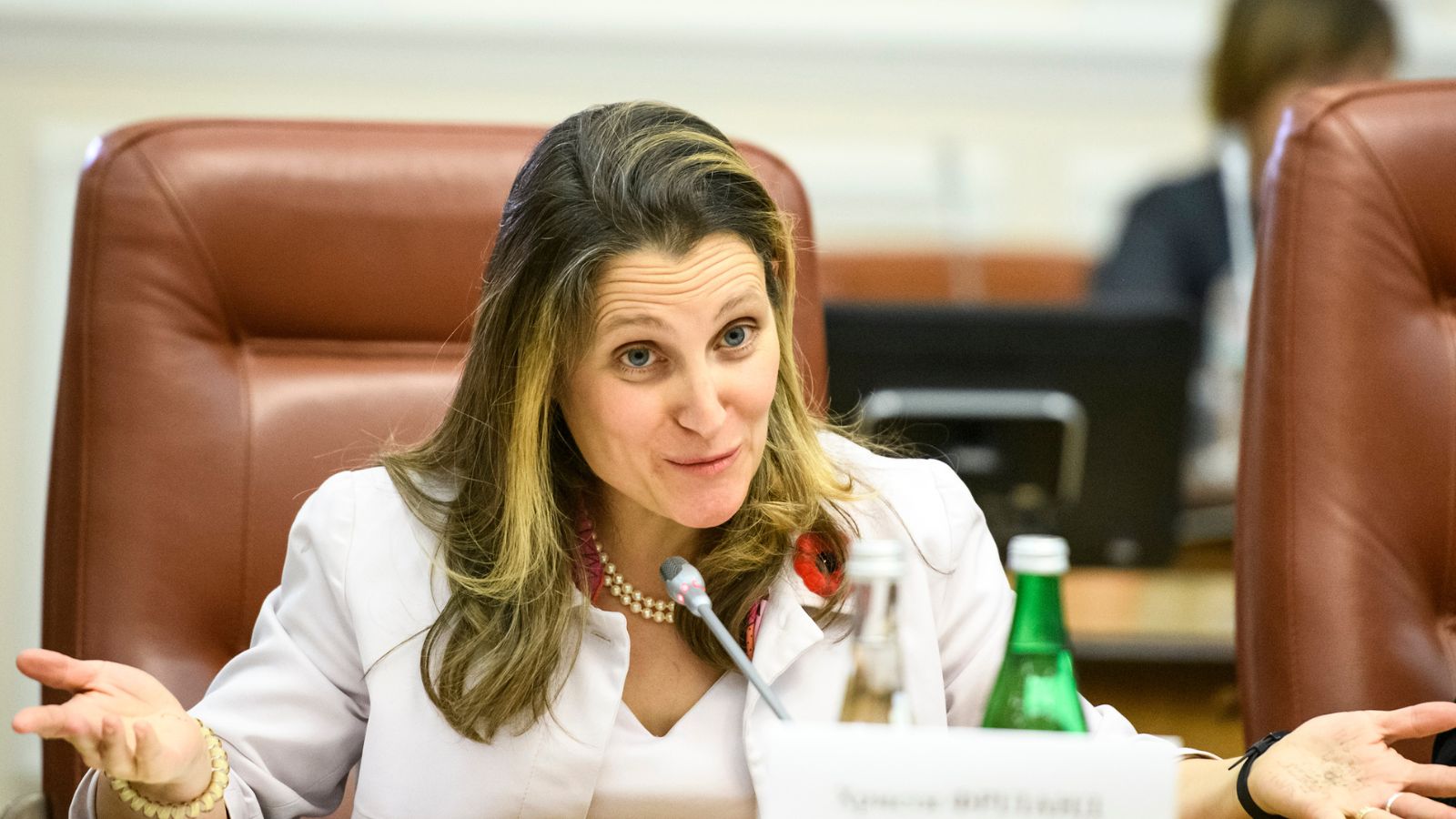 Freeland calls Europe’s Trump tariff deals a 'historic' blunder and ...