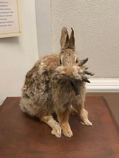 Captura de pantalla.