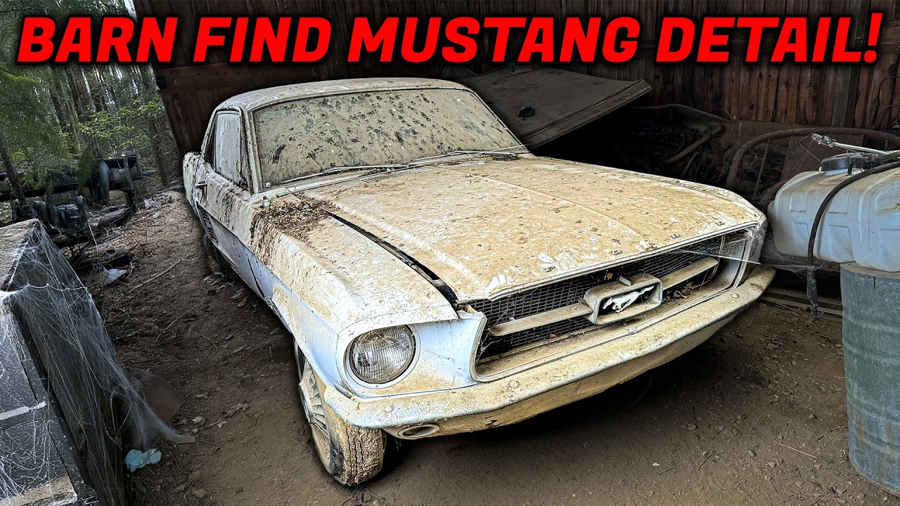Can we really restore this dirty Ford Mustang sitting in a barn?