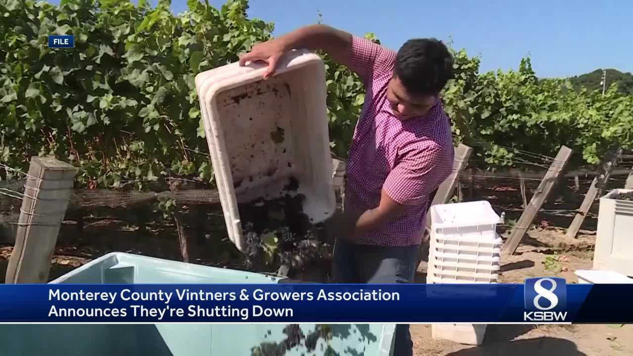 Monterey County wine trade group dissolves due to financial issues Monterey County wine trade group dissolves due to financial issues