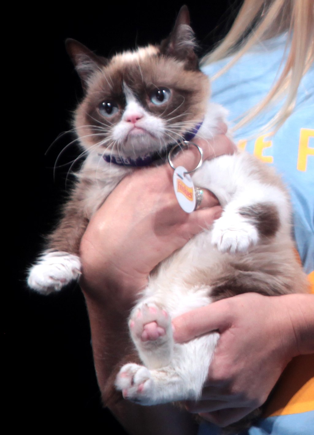 14 of the Most Iconic Memes Of All-Time