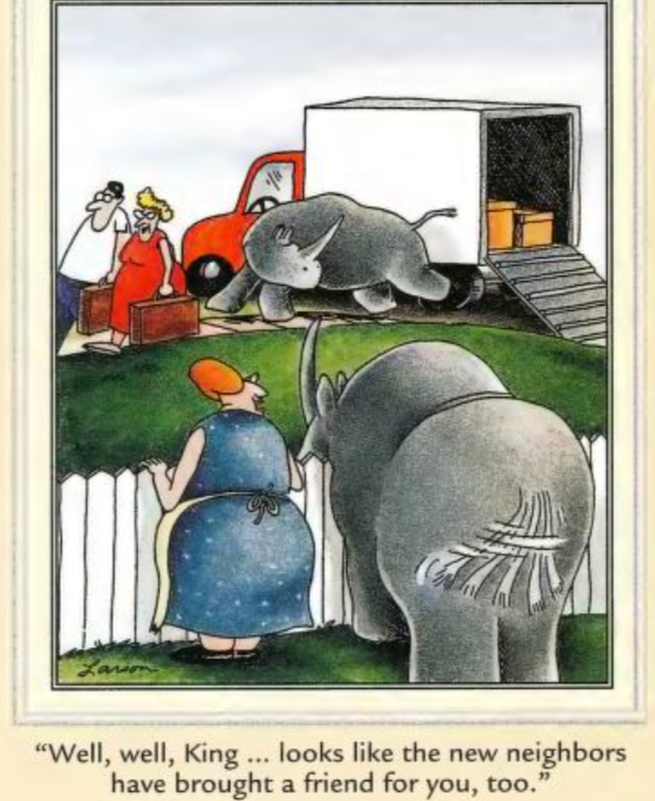 The Far Side Rhino Pets