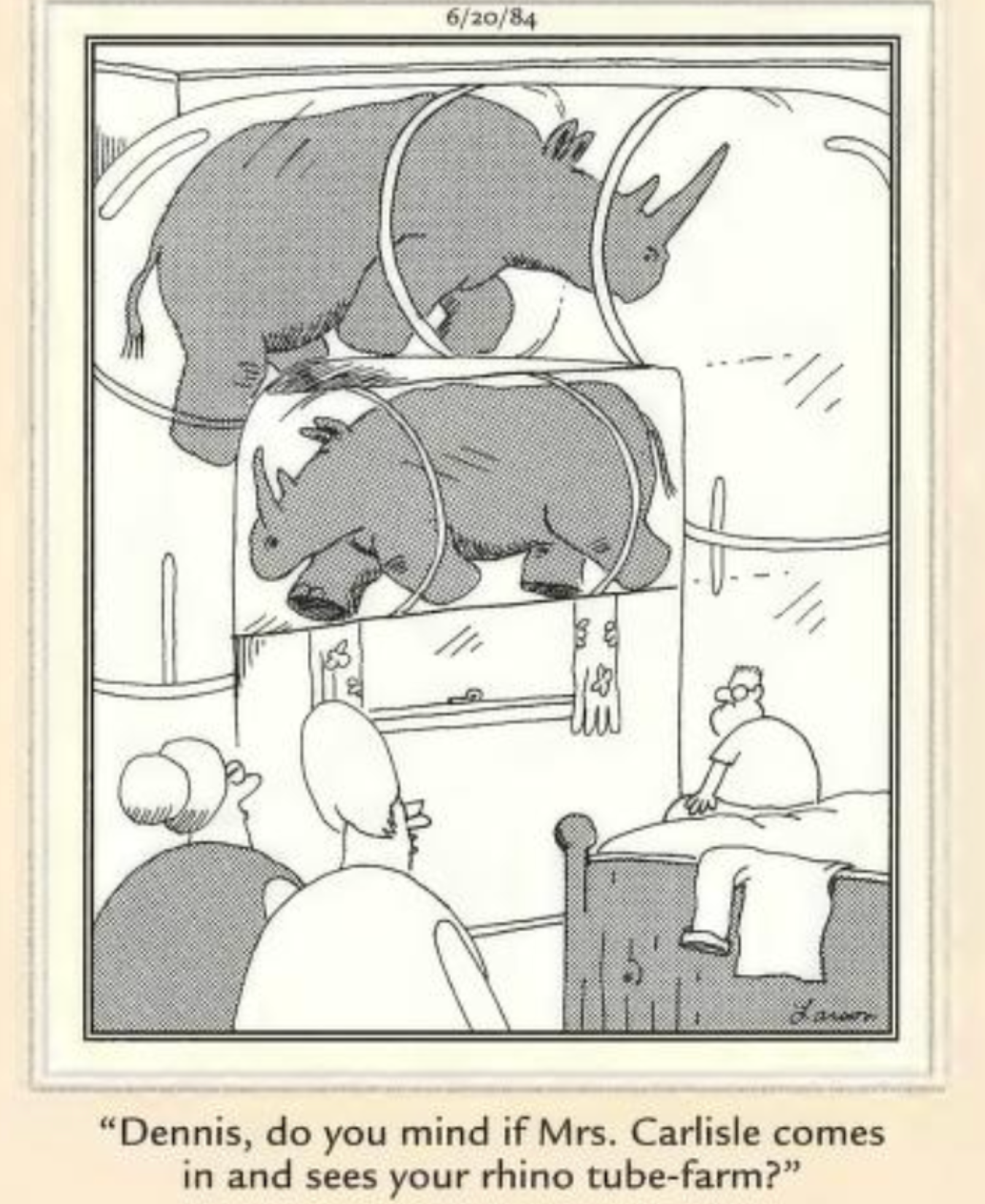 The Far Side rhino farm