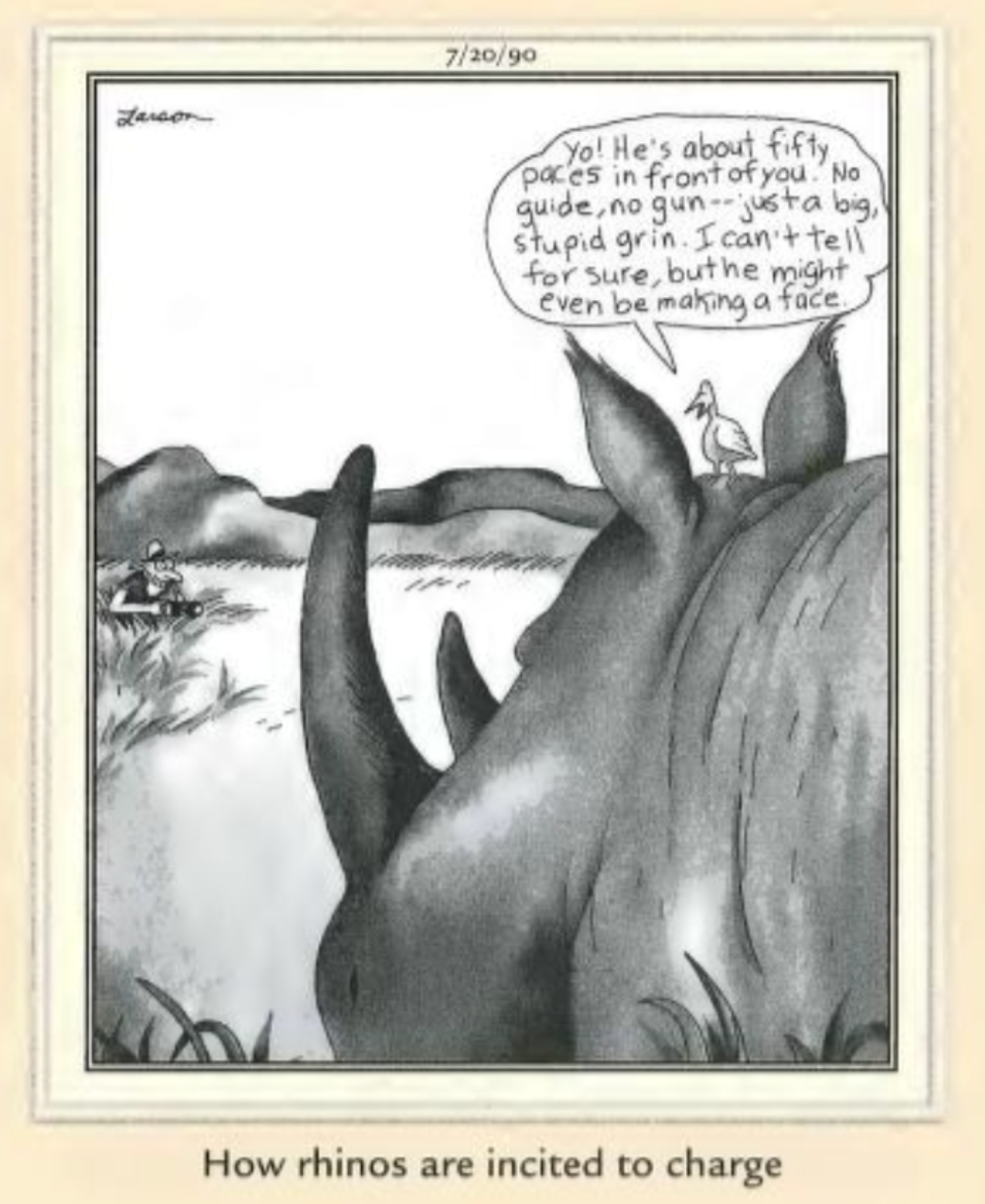 The Far Side Rhino Charge
