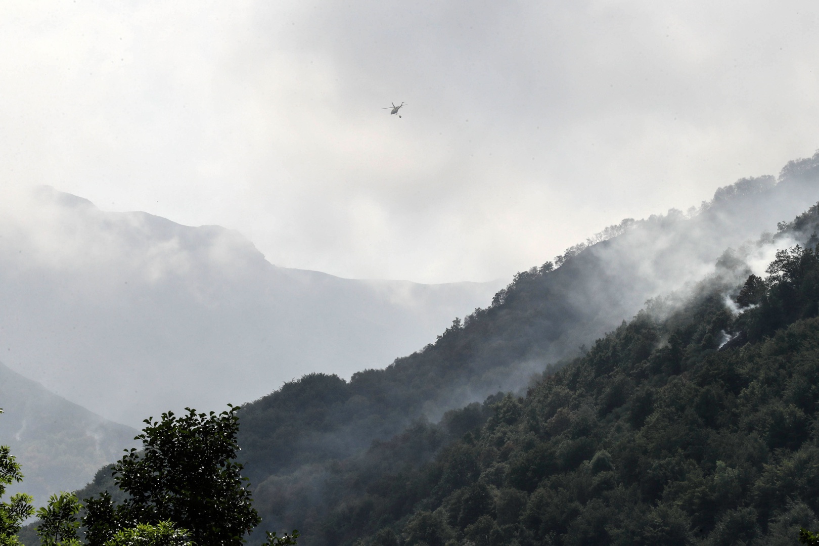 Activos tres incendios en el suroccidente de Asturias y ninguno en ...