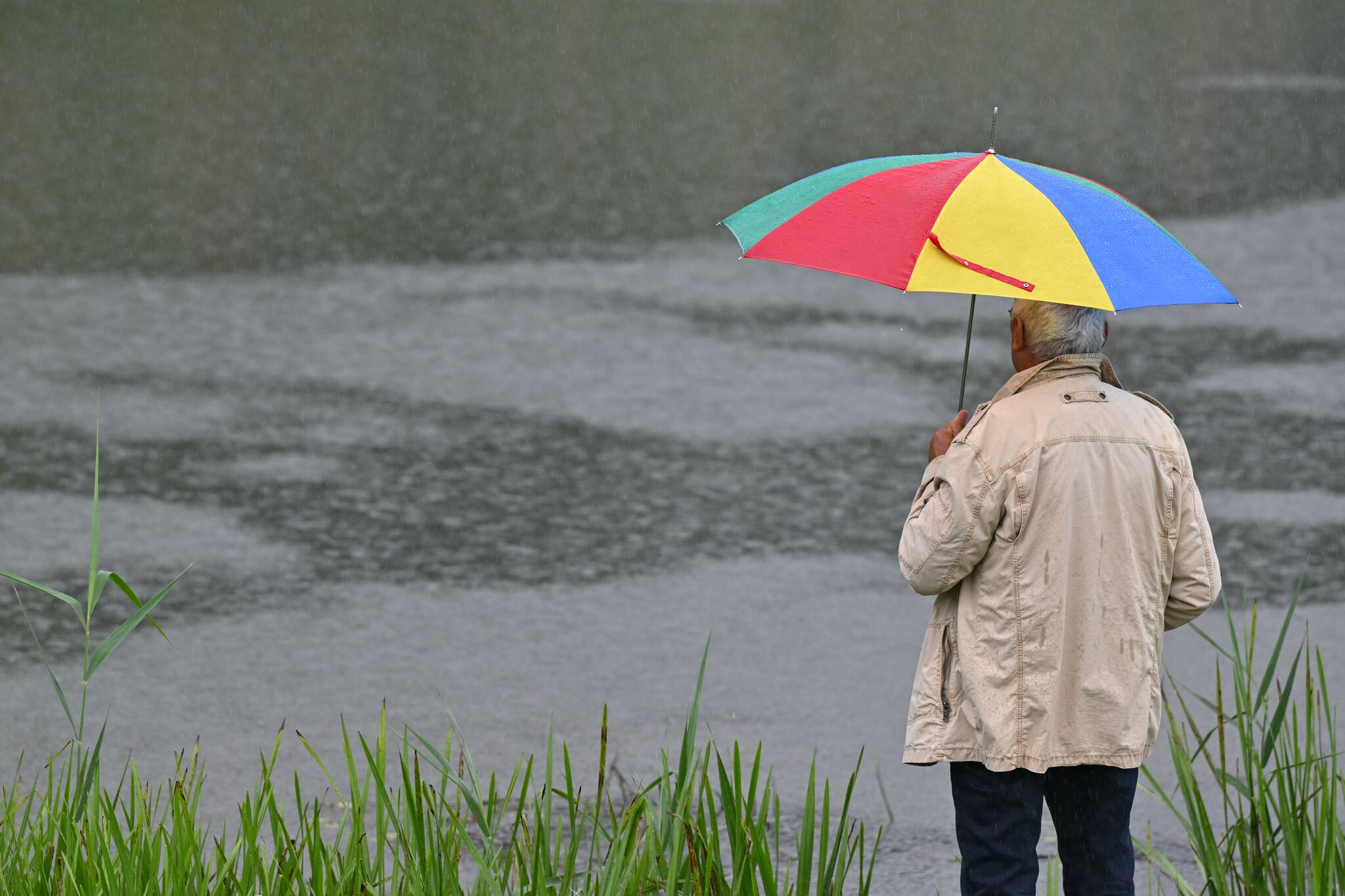 Wetter in Brandenburg: Grauer Dienstag mit Regen und Gewittern