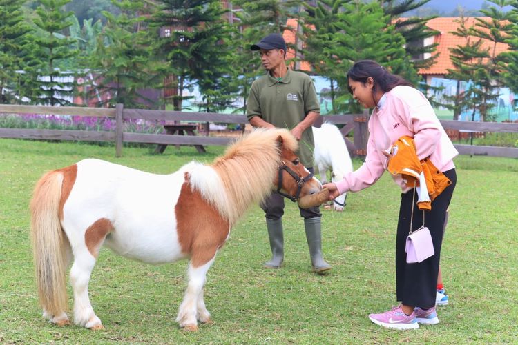 4 Destinasi Edukatif yang Wajib Dikunjungi Saat ke Bali untuk Liburan Bersama Anak