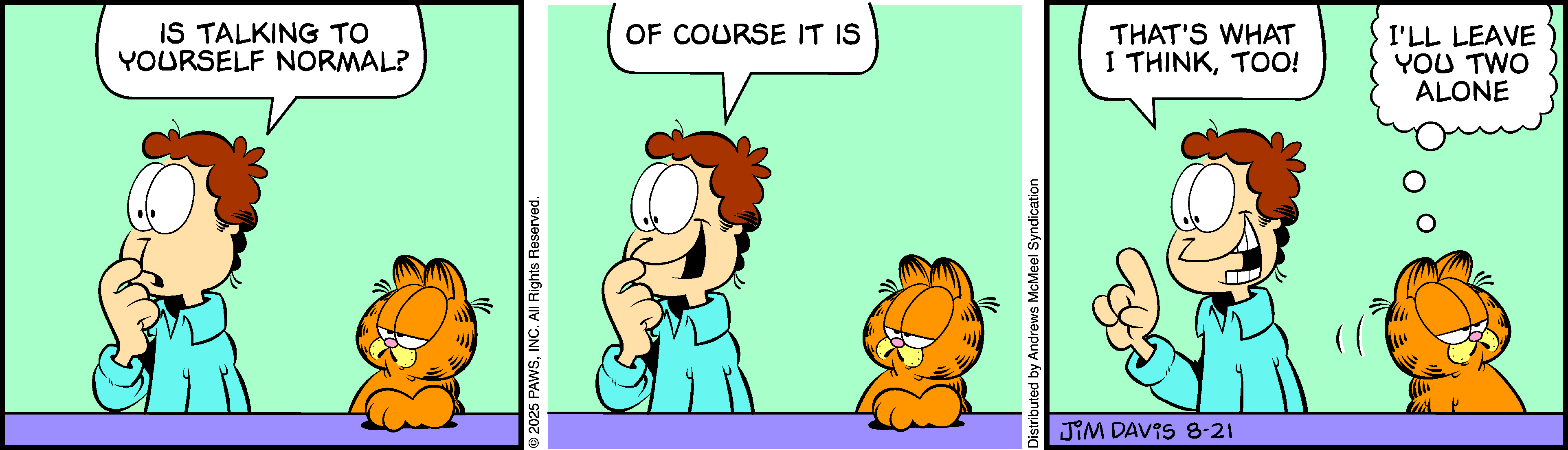 Garfield by Jim Davis