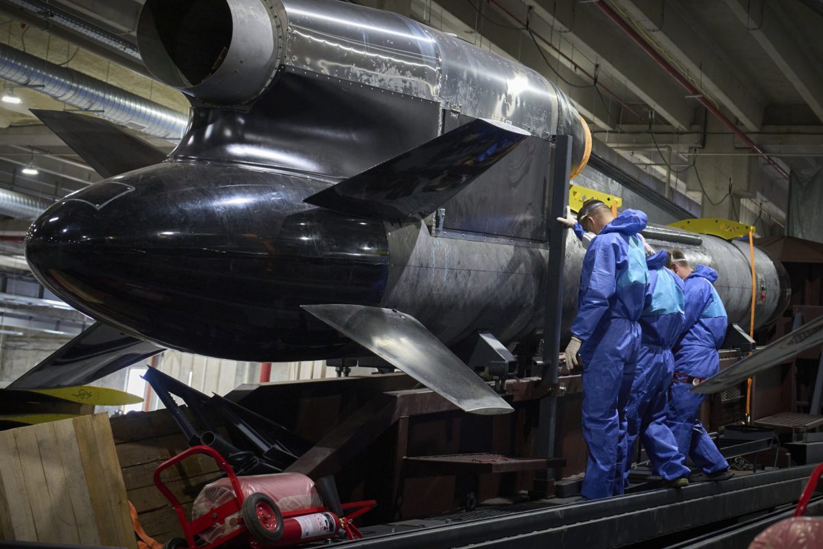 Ukraines devastating new Flamingo missile which could hit Moscow