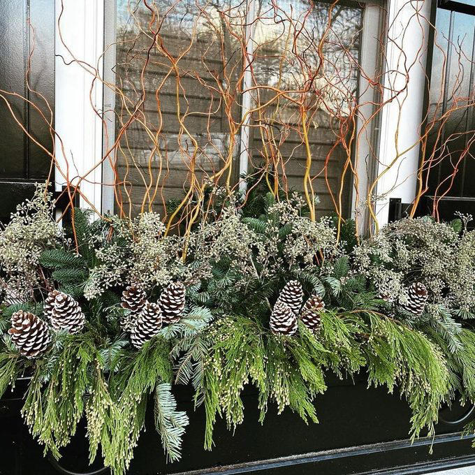 Easy Winter Window Boxes to Spruce Up Your Home