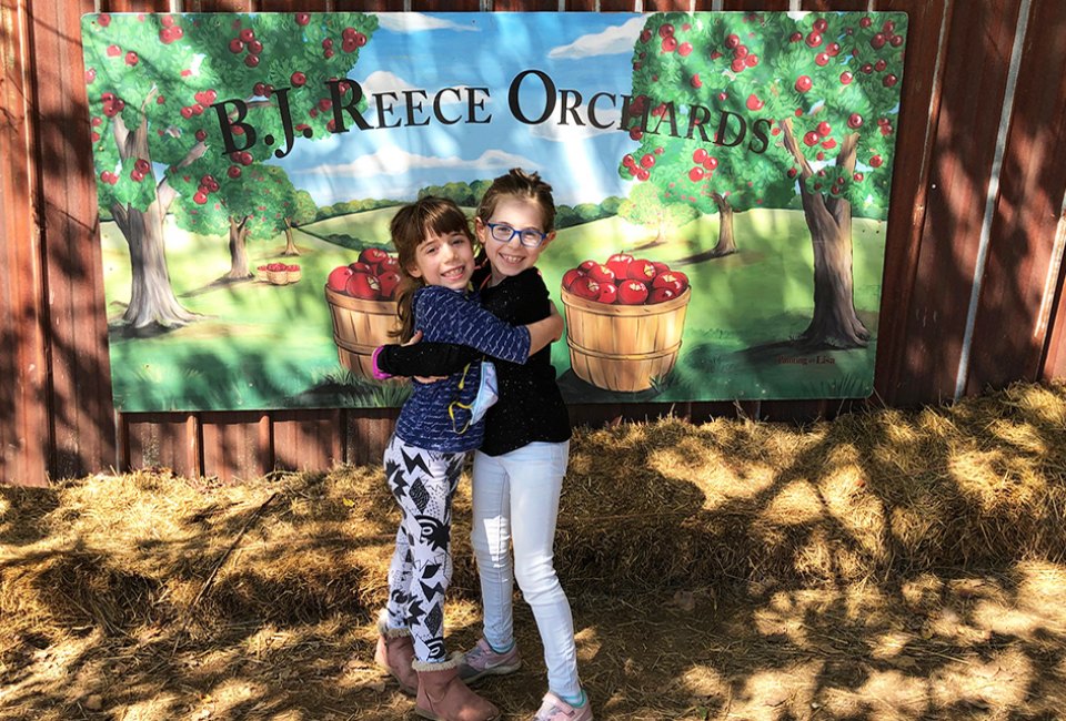 apple-picking-near-atlanta-in-2025-best-apple-farms-and-apple
