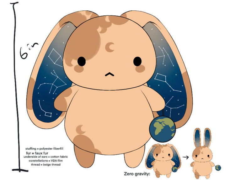 Canadians among finalists in competition to design stuffed toy NASA ...