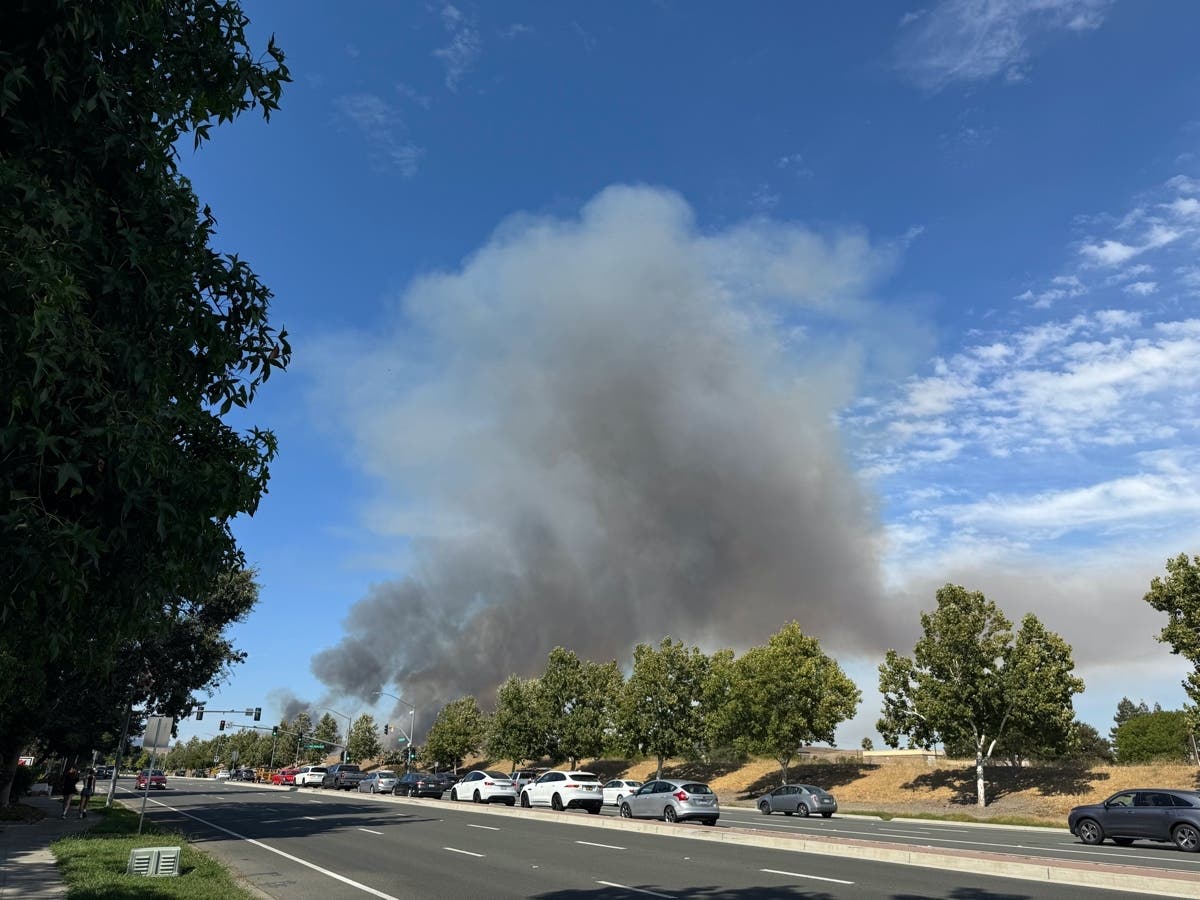 40-Acre Wildfire Breaks Out Near Camp Parks: Watch Duty