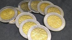 Receh yang Menghasilkan: Bisnis Koin Rp1.000 Sawit yang Seru
