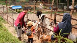 Liburan Murah ke Malang? 4 Mini Zoo Seru untuk Wisata Anak Hemat