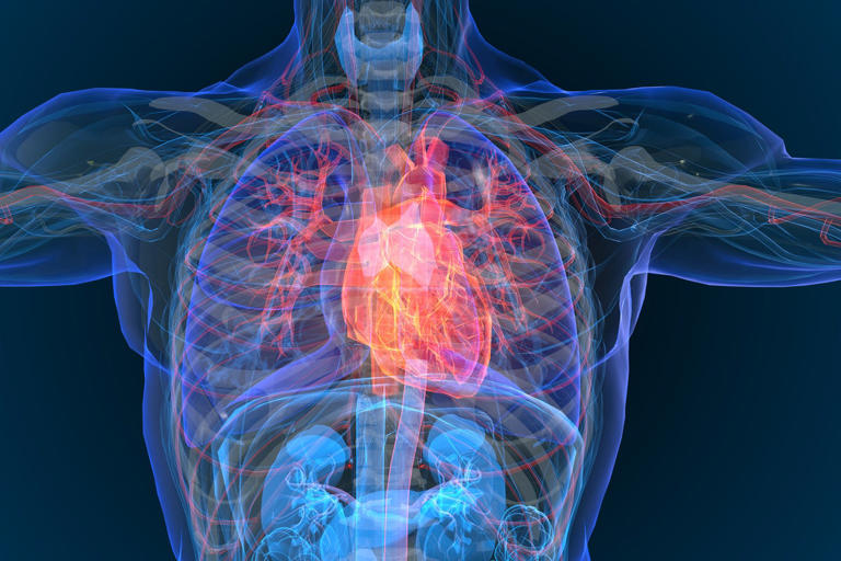 Do beta blockers really increase the risk of death? A cardiologist explains