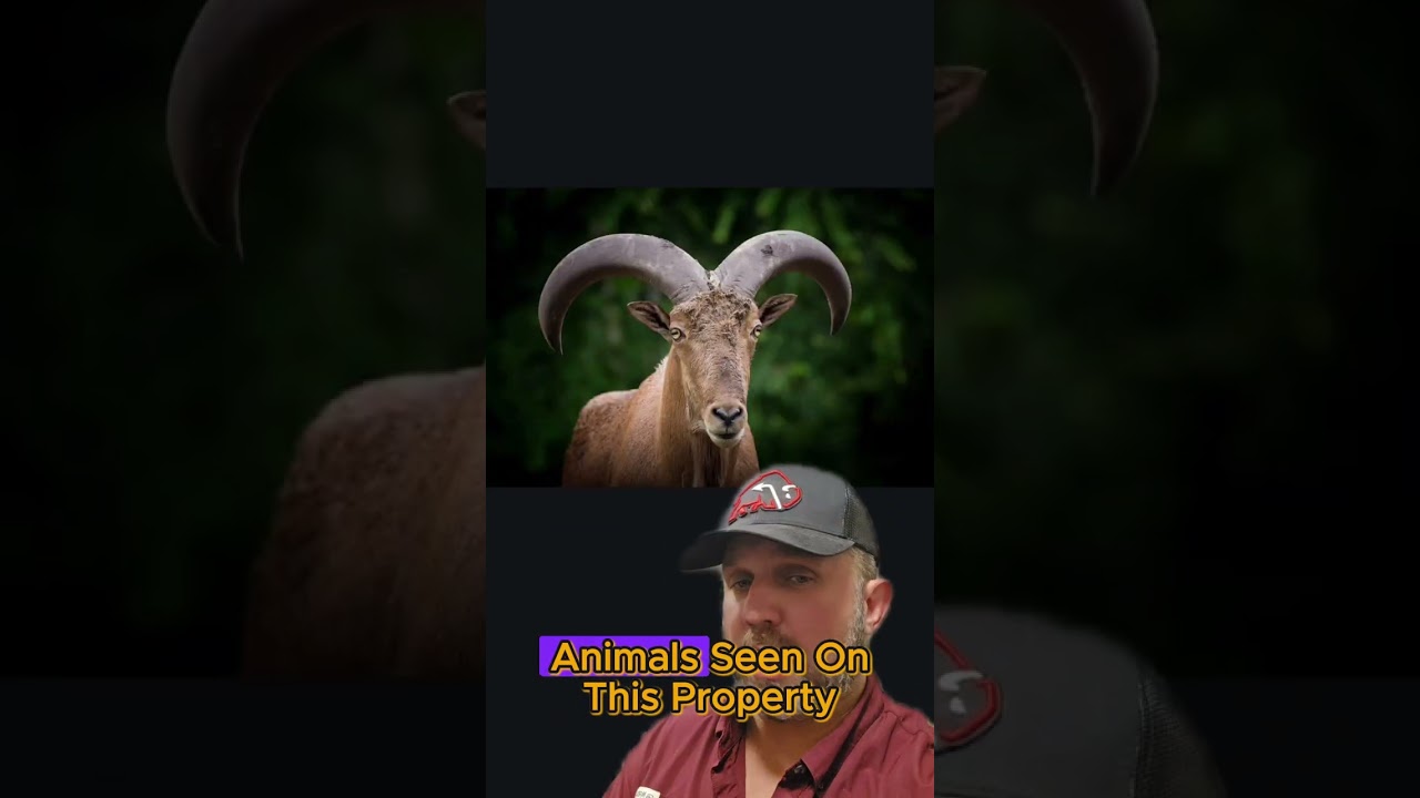 Tour the massive Nineteen Mile Ranch in Uvalde County Texas