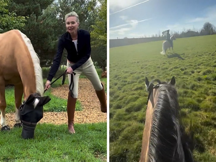 Ellen DeGeneres Shares Rare Glimpse at New Life in UK