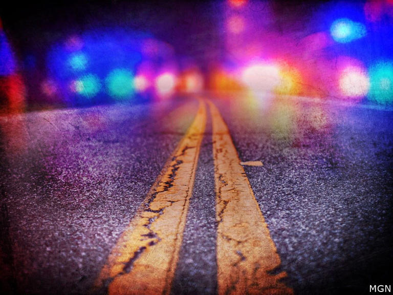 Springfield man dies in Polk County car crash