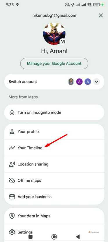 Your Timeline option in Google Maps.
