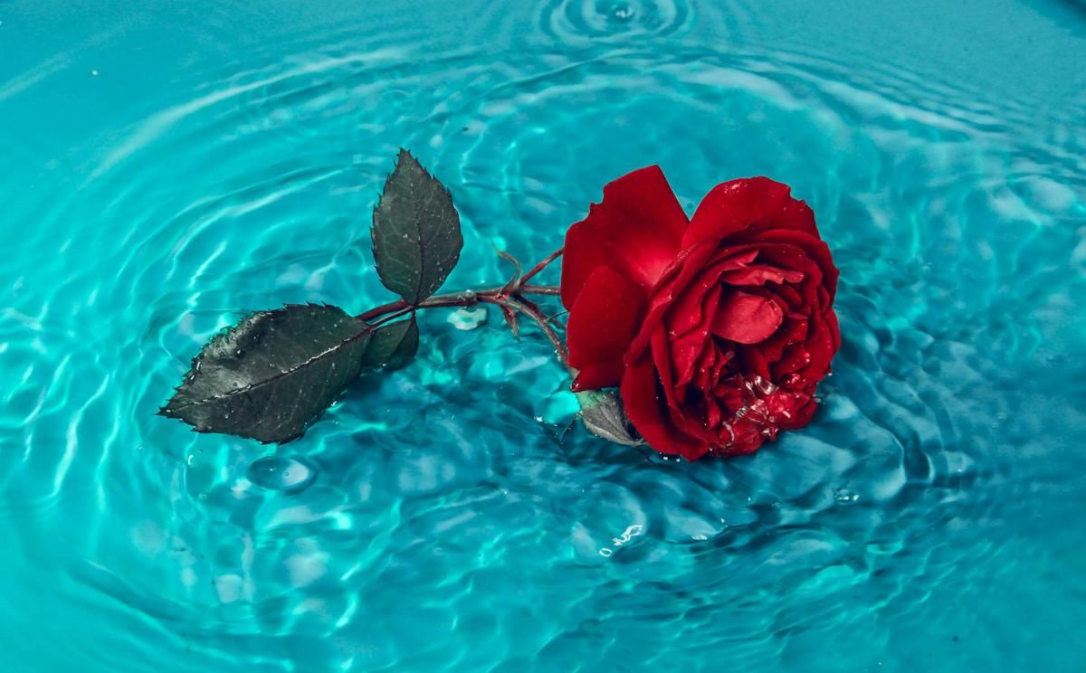 Featured Image