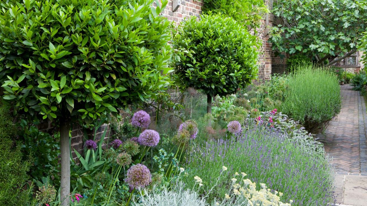 5 beneficial insects that are working hard to look after your garden ...