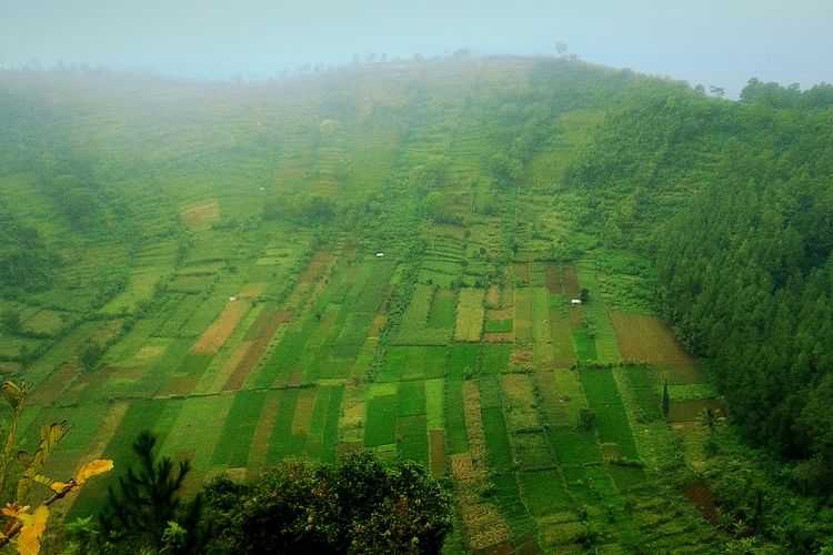 10 Destinasi Wisata Alam Magetan untuk Liburan Keluarga atau Teman