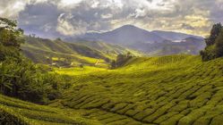 Jarang Dikunjungi! 4 Destinasi Wisata Wajib Dicoba Liburan Akhir Pekan