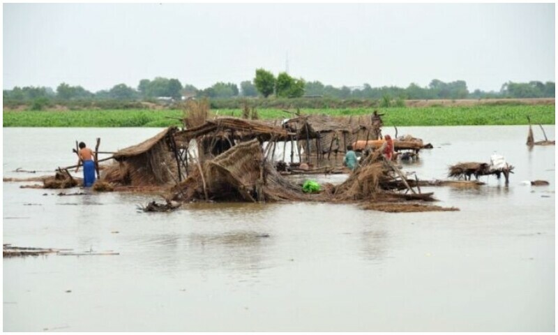 Banjir yang tak kenal lelah menghancurkan Punjab dan Sindh, rumah-rumah dan tanaman pertanian hancur