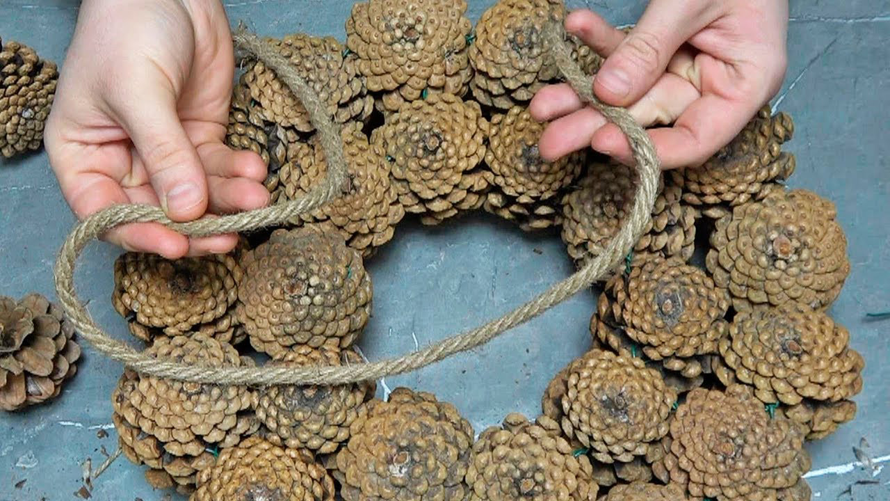What Happens When You Connect Pine Cones and Rope? What Happens When You Connect Pine Cones and Rope?