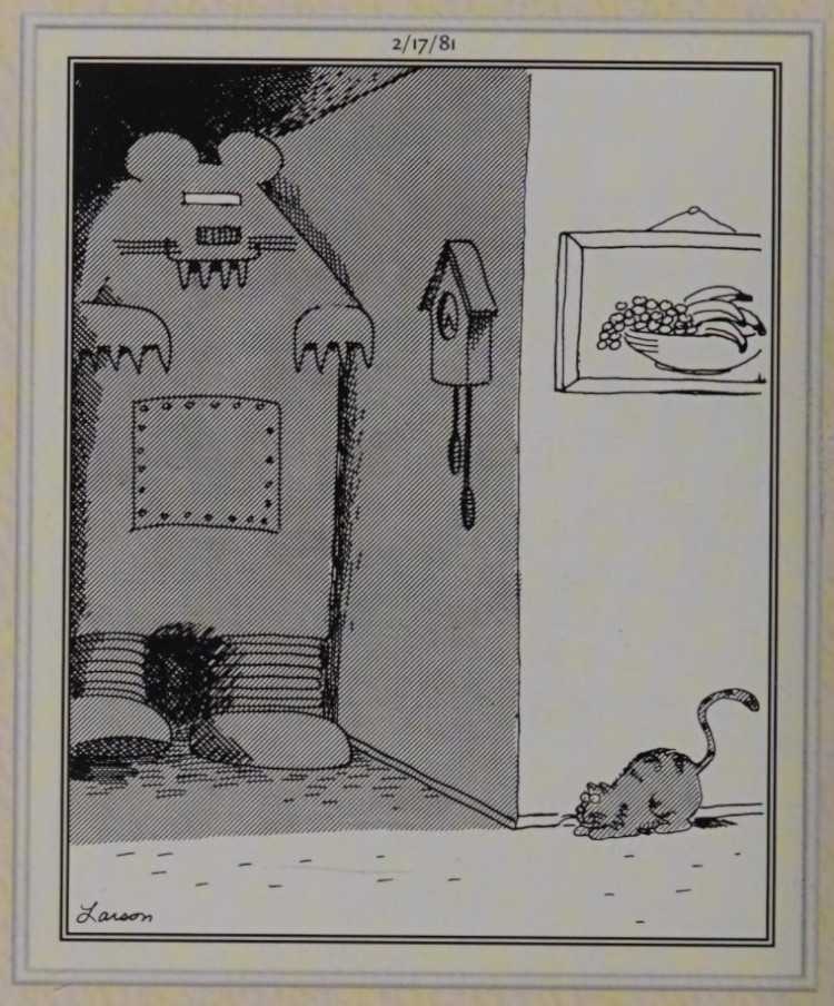 A cat and giant mouse robot
